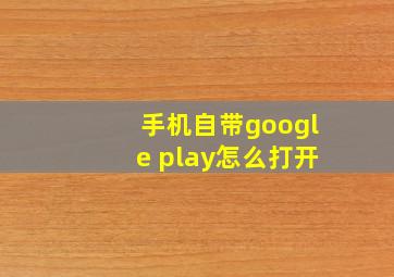 手机自带google play怎么打开